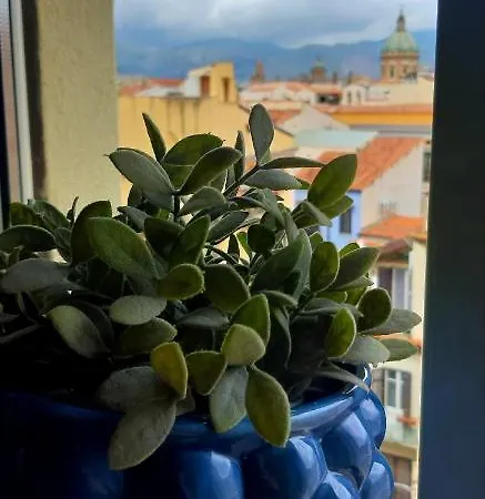 5 Cupole アパート